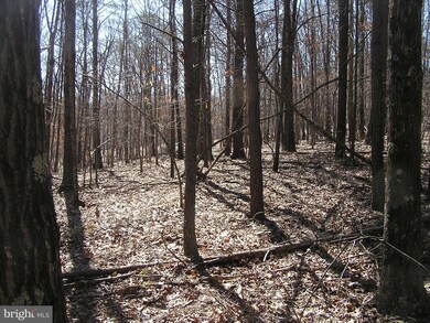 2337 Green Spring Rd, Winchester, VA 22603 - photo 7