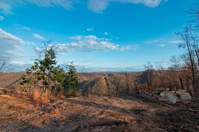 0 Parsons Dr, Mullens, WV 25882 - photo 2