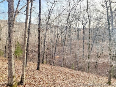 0 E 950 Rd unit 2542577, Cookson, OK 74427 - photo 4