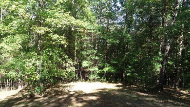 Homesite_2