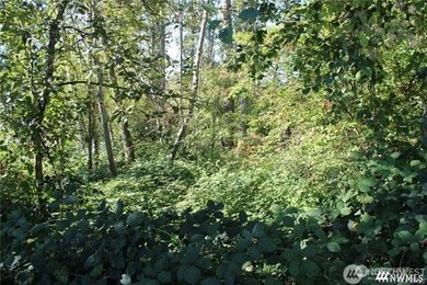 3085 W Maplewood Ave, Bellingham, WA 98225 - photo 4