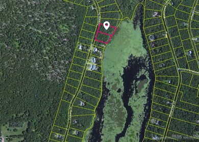 736 & 737 Tink Wig Dr, Lackawaxen Township, PA 18428 - photo 2