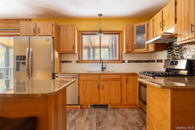 Kitchen with appliances with stainless steel finishes, decorative backsplash, light wood-style floors, and hanging light fixtures