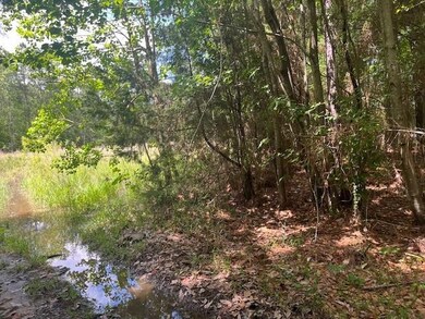 Path/drive toward back of lot