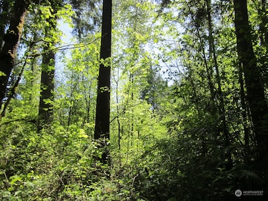 20633 SE 388th St, Enumclaw, WA 98022 - photo 4