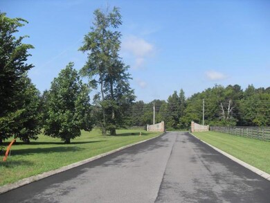 Street view Loblolly Lane
