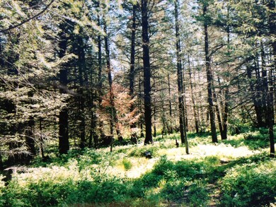 880 Bowdish Rd, Whitefish, MT 59937 - photo 4