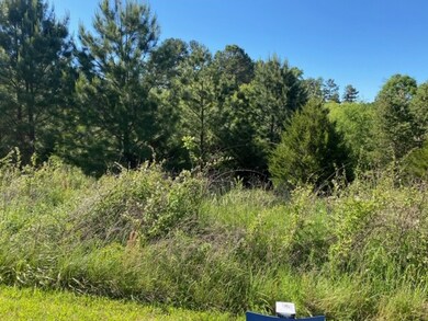 Lot 1 Hidden Falls Dr unit Lot 1, West Union, SC 29696 - photo 6