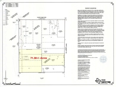 71.38 Acres Farm To Market 920, Poolville, TX 76487 - photo 3