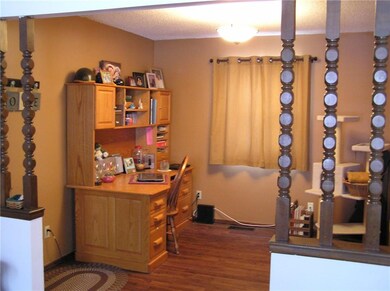 Study Area