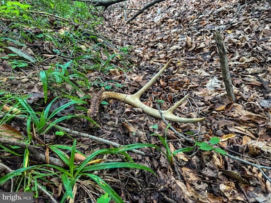 0 Laurel Dale Rd, New Creek, WV 26743 - photo 5