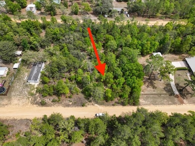 0 Patch St, Interlachen, FL 32148 - photo 3