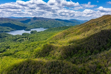 16 Diamond Pointe, Butler, TN 37640 - photo 3