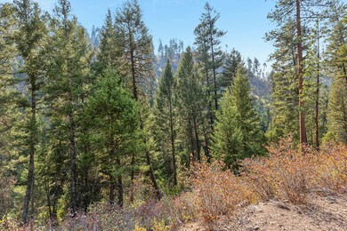 6300 Camas Creek Rd, Potomac, MT 59823 - photo 7