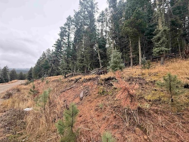 Lot 29 San Andres Terrace, Angel Fire, NM 87710 - photo 2