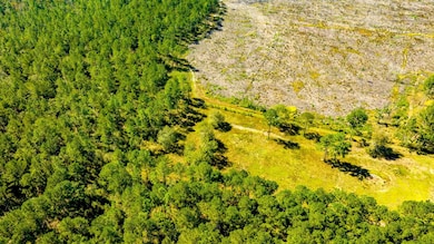 0 Bay Branch Church Rd unit 25551331, Claxton, GA 30417 - photo 4