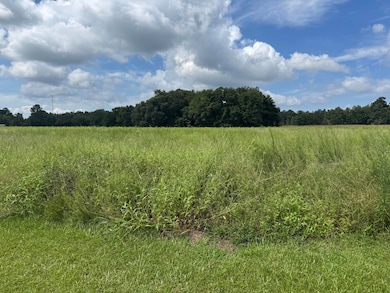 1190 Whistle Top Ln, Alcolu, SC 29001 - photo 6