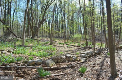0 Raven Rocks Rd unit 1003475354, Bluemont, WV 20135 - photo 4