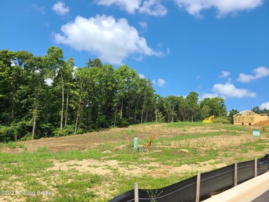 30 Goodlett Kilner Ct, Mount Washington, KY 40047 - photo 3