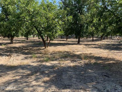 Lot 216