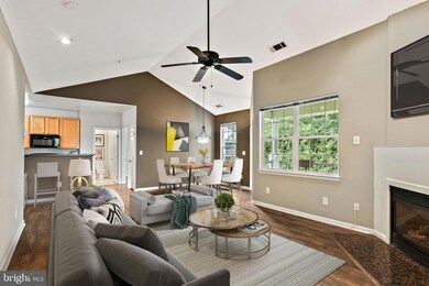 5002 Willow Branch Way unit 302, Owings Mills, MD 21117 - photo 3