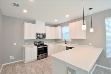 522 Thunder Valley Trail, Georgetown, TX 78626 - photo 6