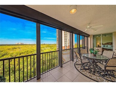 Oversized screened lanai