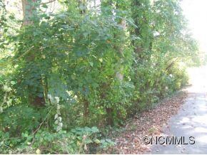 Established Neighborhood