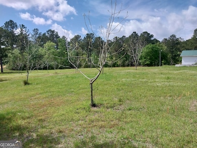 152 Seaweed Rd, Fitzgerald, GA 31750 - photo 2