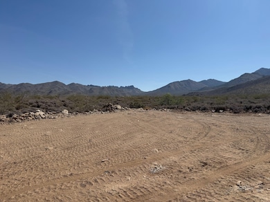 3 Longhorn Dr, Dolan Springs, AZ 86441 - photo 5