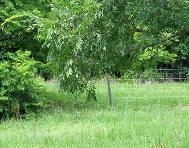 7600 Fort King Rd, Zephyrhills, FL 33541 - photo 3