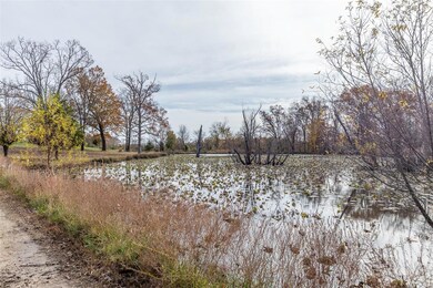 2010 County Road 459, Poplar Bluff, MO 63901 - photo 3