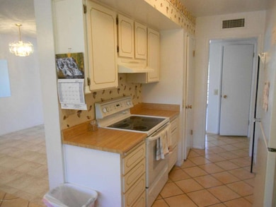 9607 W Appaloosa Dr, Sun City, AZ 85373 - photo 5