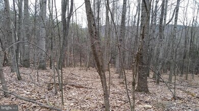 36 A High View Rd, Lost River, WV 26810 - photo 3