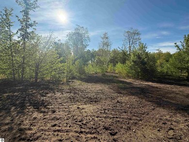 1087 E Solaris Way, Maple City, MI 49664 - photo 6