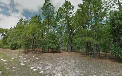 8116 N Triana Dr, Citrus Springs, FL 34434 - photo 7