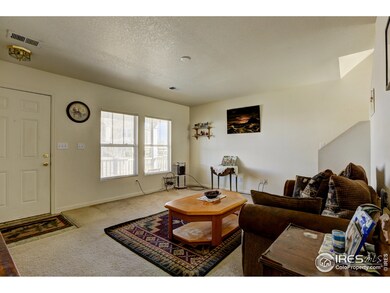 218 Zephyr Ct, Brighton, CO 80603 - photo 5