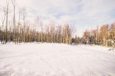 3695 W Autumn Crest Cir unit 3, Wasilla, AK 99654 - photo 3