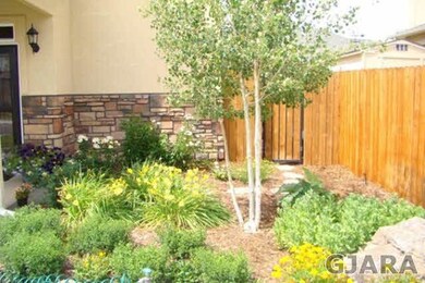 Mature landscaping
