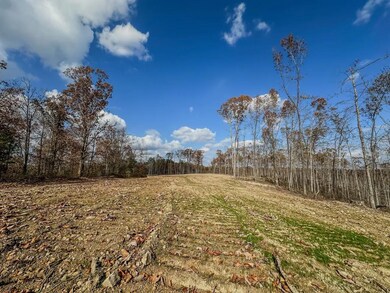 0 Firetower Rd unit 2, Centerville, TN 37033 - photo 7