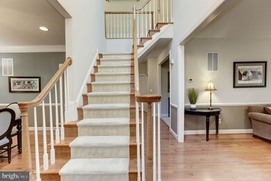 25655 Tremaine Terrace, Chantilly, VA 20152 - photo 5