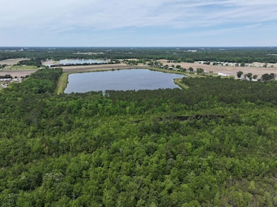 00 Hwy 55 E unit LotWP002, Kinston, NC 28501 - photo 2