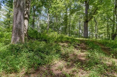 0 N Otter Creek Rd unit 361183, Bedford, VA 24523 - photo 7