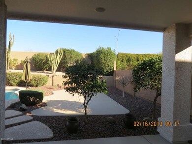 VIEW FROM COVERED PATIO