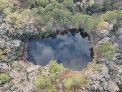 Pond 2