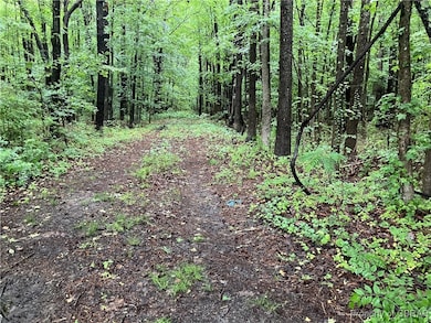 View of wooded area