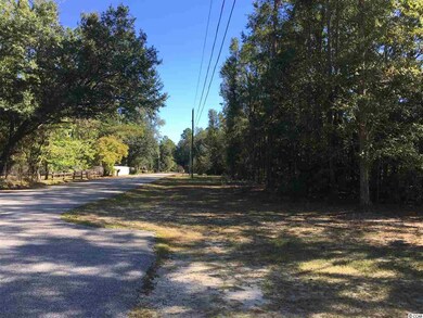 TBD Fawn Rd, Conway, SC 29527 - photo 2
