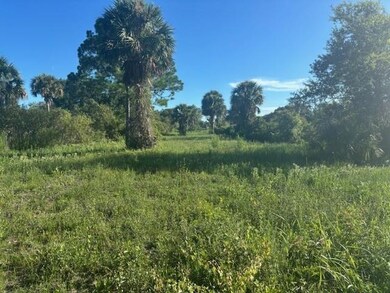 19216 NW 300th St, Okeechobee, FL 34972 - photo 4