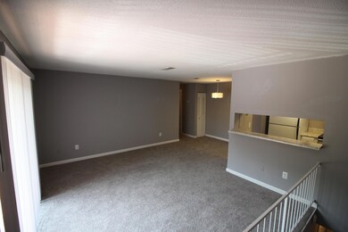 Large Living/Dining