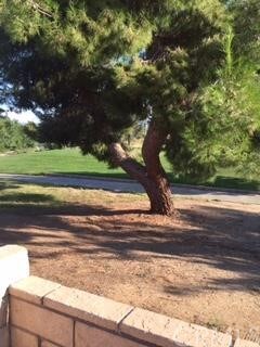 16113 Pebble Beach Dr, Victorville, CA 92395 - photo 2